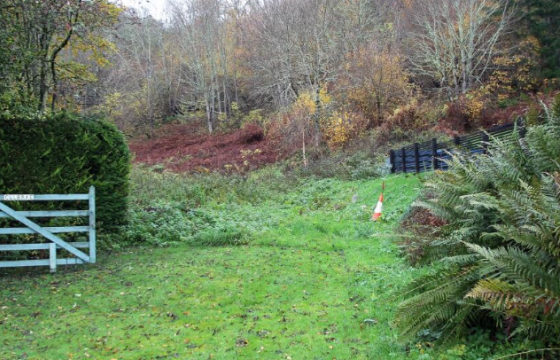 Plot for sale in Canachan photo